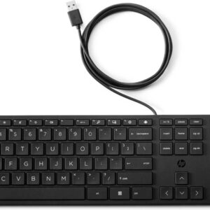 HP Wired Desktop 320K Keyboard KAZ (Halley)
