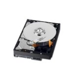 WESTERN DIGITAL HDD Desktop AV-GP (3.5", 1TB, 64MB, SATA III-600).